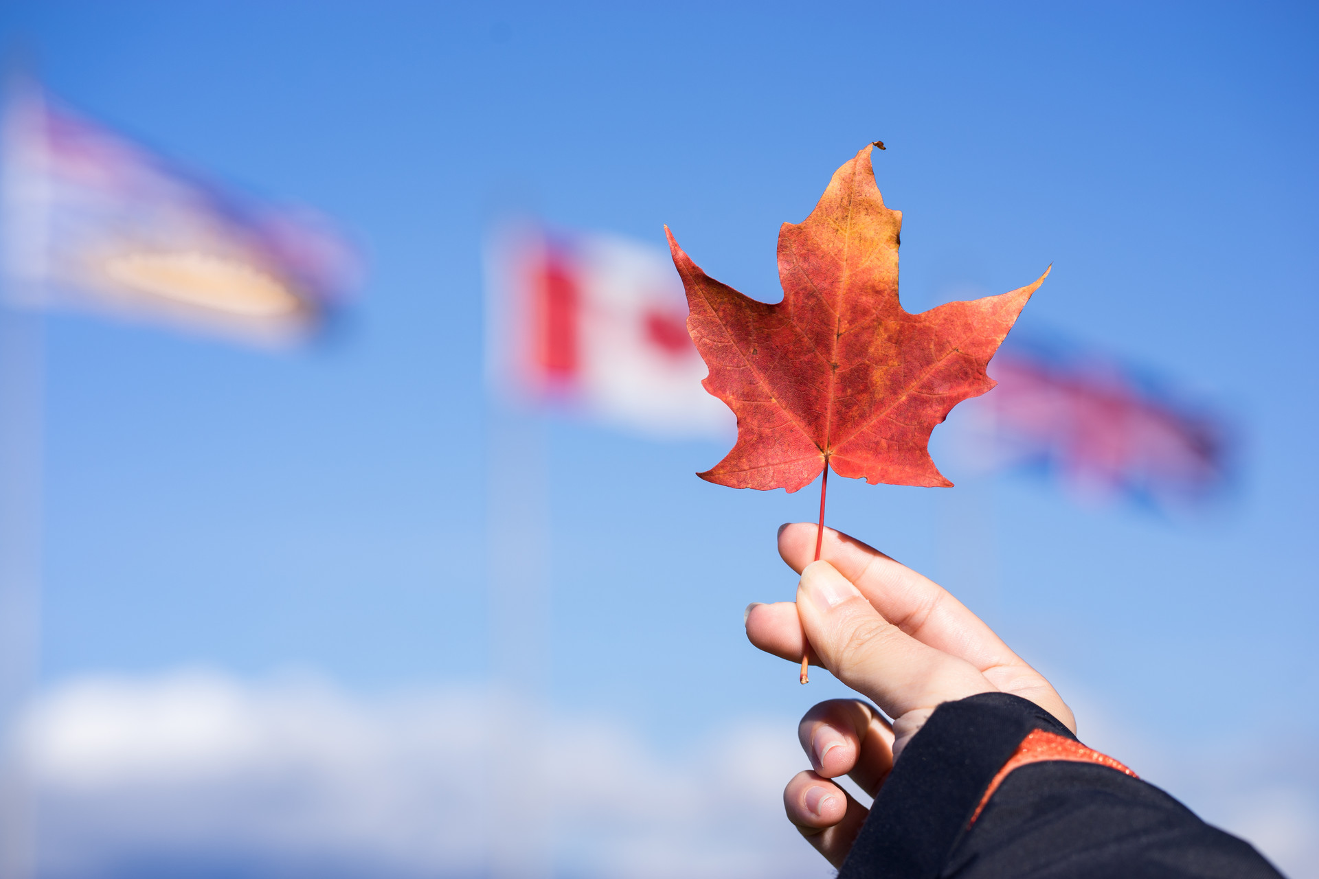 加拿大最新民调：加拿大人依旧大力欢迎移民！